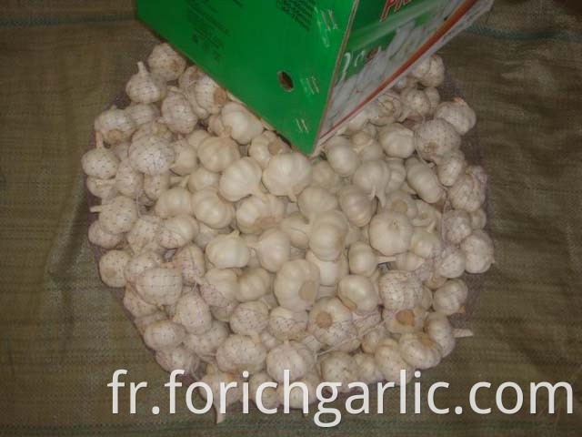 Pure White Garlic